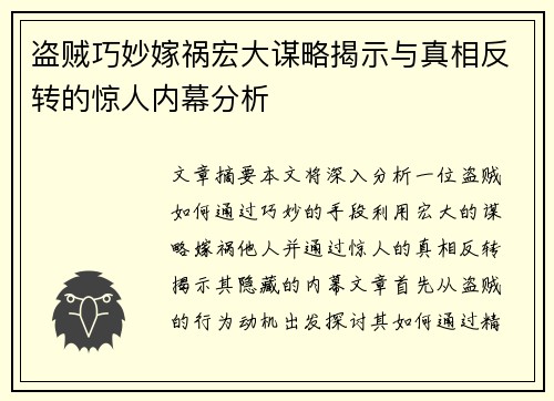 盗贼巧妙嫁祸宏大谋略揭示与真相反转的惊人内幕分析
